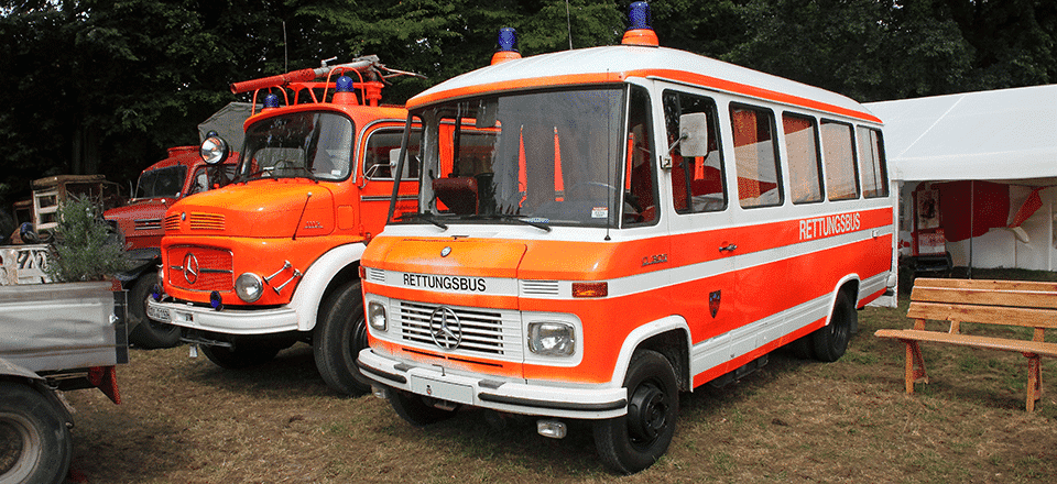 T2 (309)