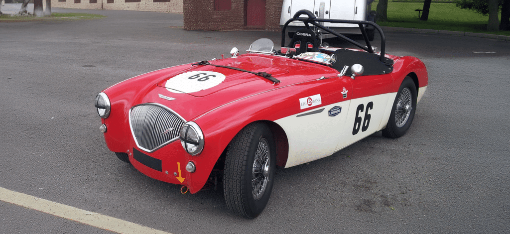 AUSTIN HEALEY 100 BN2 - Polybush